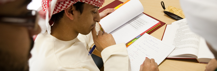 Abu Dhabi Education 2013