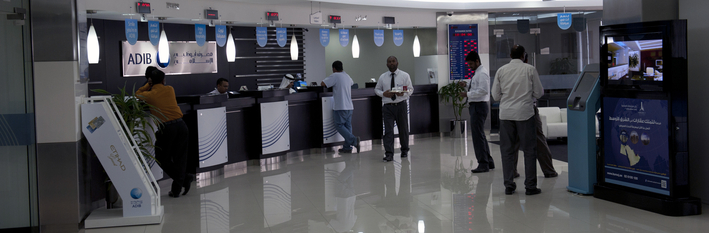 Abu Dhabi Banking 2013
