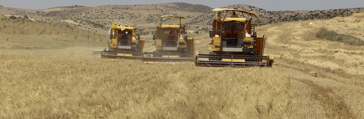 Algeria Agriculture 2013