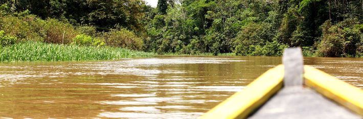 Colombia Agriculture 2013