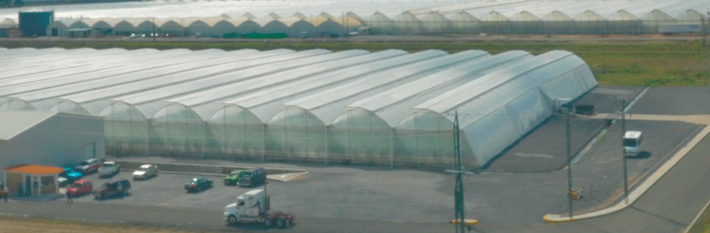 Mexico 2019 Agriculture