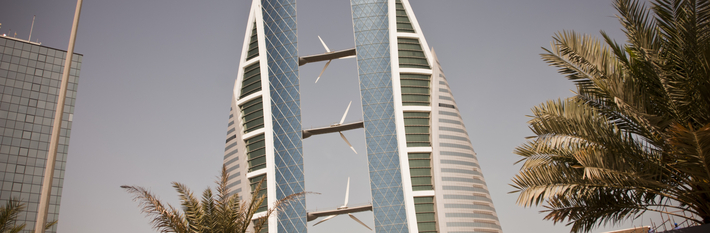 Bahrain Country Profile 2013