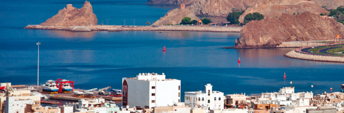 Oman 2020 - Country Profile