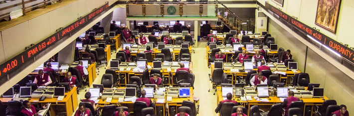 Nigeria Capital Markets 2013