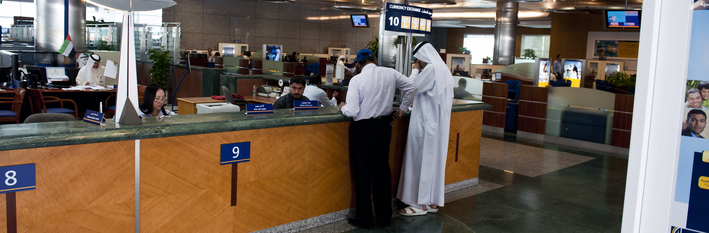 Dubai Islamic Financial Services 2013
