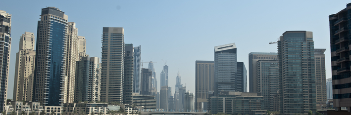 Dubai Country Profile 2014
