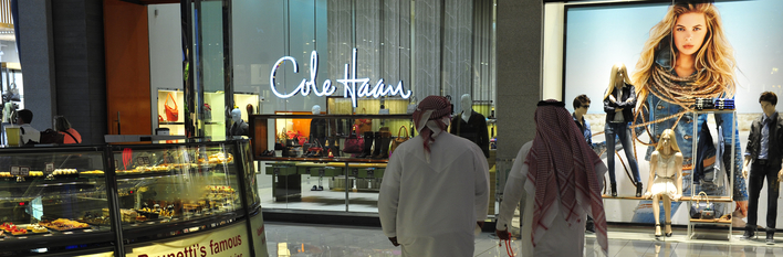 Dubai Retail 2014