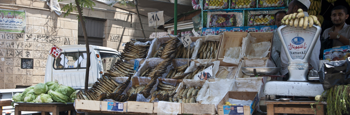 Egypt Economy 2013