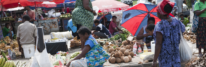 PNG Economy 2012