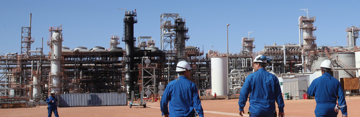 Algeria Energy 2013