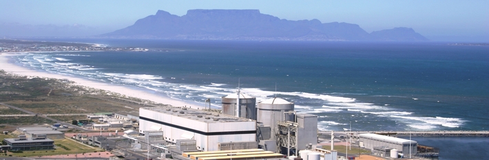 South Africa Energy & Utilities 2013