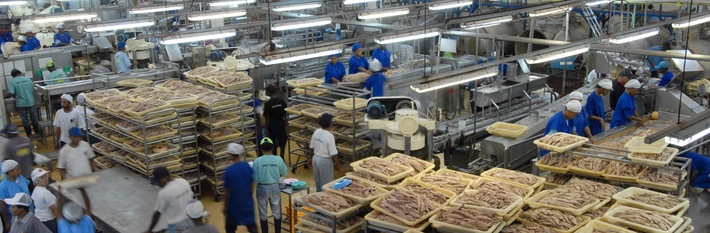 PNG Industry 2012
