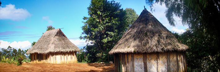 Papua New Guinea The Guide