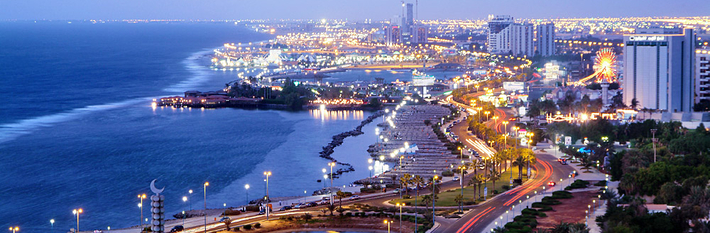 Saudi Arabia The Guide 2013