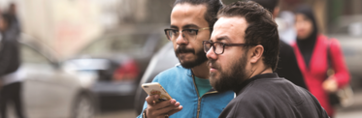 Egypt Telecoms & IT 2017