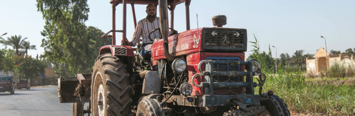 Egypt Agriculture