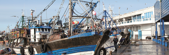 Morocco Agriculture & Fisheries