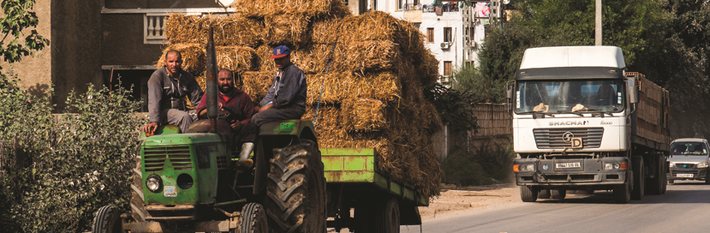 Algeria Agriculture