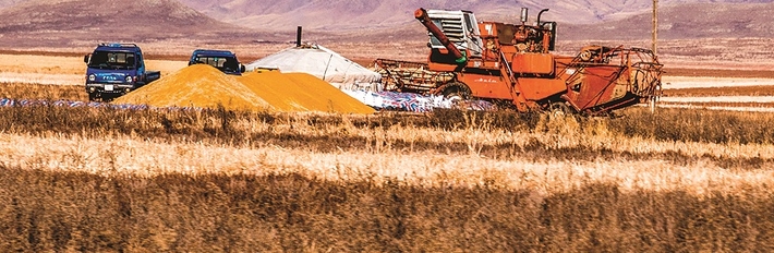 Mongolia Agriculture 2014