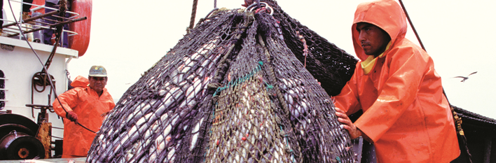 Peru Agriculture & Fisheries