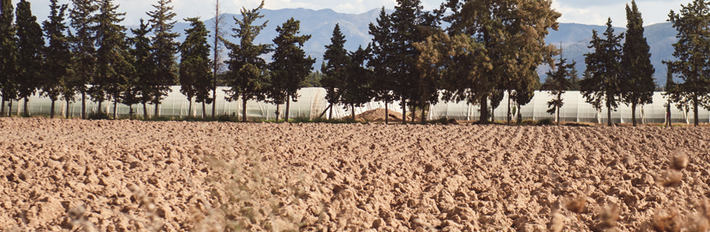 Algeria Agriculture