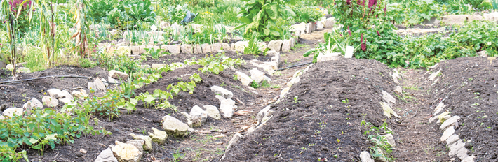 Colombia Agriculture