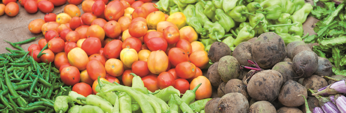 Sri Lanka Plantations & Agriculture