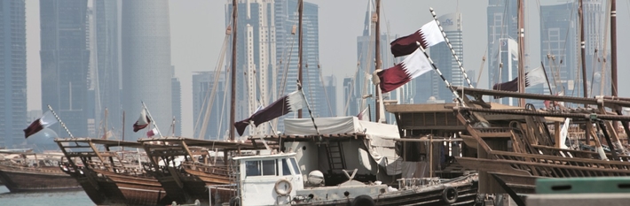 Qatar Country Profile 2014