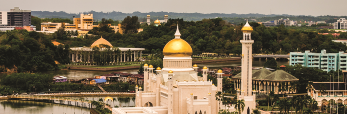 Brunei Country Profile