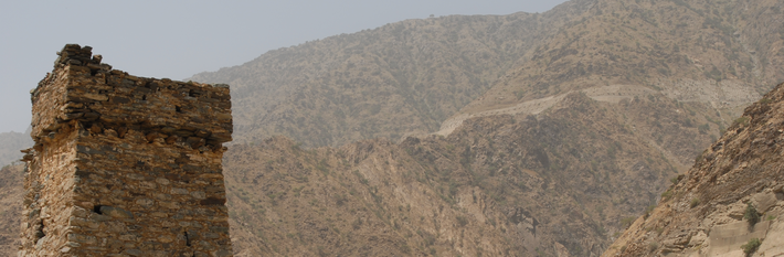 Saudi Arabia Guide