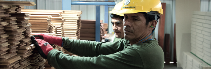 Peru 2019 Industry & Retail