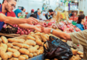 Algeria agriculture