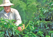 Colombia Agriculture