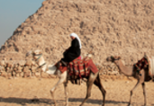 Egypt Tourism