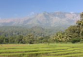 Sri Lanka agriculture