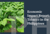 Report: Exploring the socio-economic importance of tobacco in the Philippines