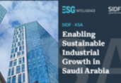 Report: How can Saudi Arabia finance sustainable industrial development?