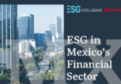 Report: The financial sector's central role in tackling ESG issues in Mexico