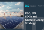 ESG: Indonesia’s role in ASEAN’s energy transition