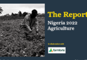 Focus Report: Agriculture at the heart of Nigeria's economic development plans