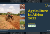 Video: Agriculture in Africa 2022