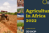 Focus Report: How can agriculture in Africa meet the challenges of the future?