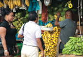 Panama Agriculture