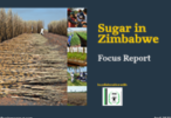 Focus report: Opportunities and challenges in Zimbabwe’s sugar industry