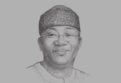 Kayode Fayemi, Minister of Solid Minerals Development