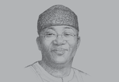 Kayode Fayemi, Minister of Mines and Steel Development