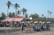 The Report: Ghana 2022 Tourism 