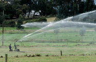 Colombia 2019 - Agriculture