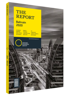 Cover of The Report: Bahrain 2020