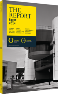 Cover of The Report: Egypt 2014